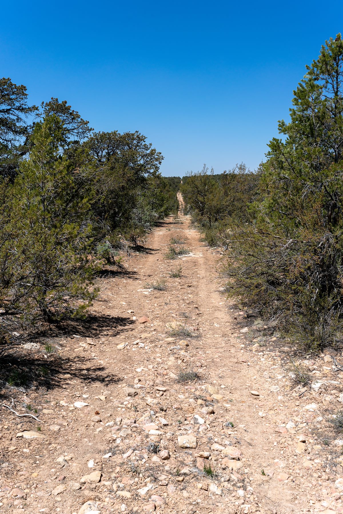 2021 April Grand Canyon National Park Boundary Road