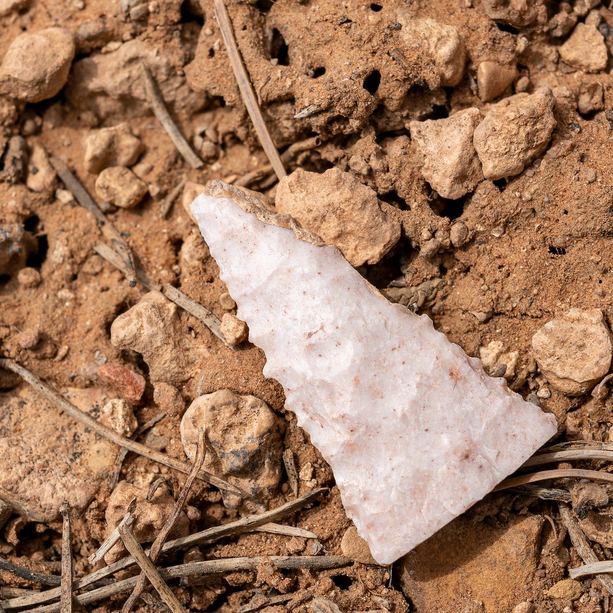 2021 April Projectile Point in the Kaibab National Forest