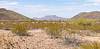 2021 February A View of Picacho and Newman from Ironwood Forest National Monument