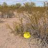 2021 January Balloon Trash in Ironwood Forest National Monument