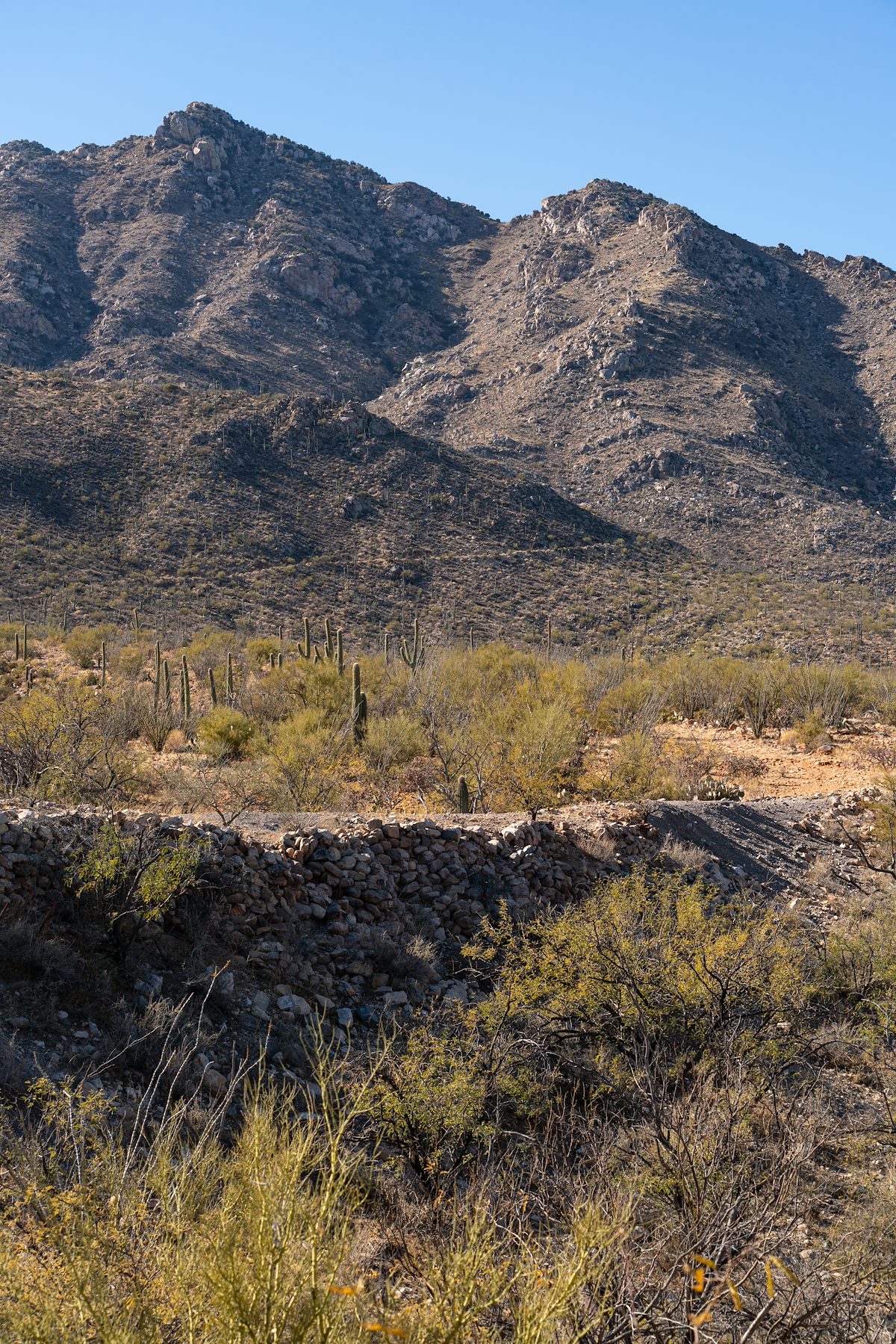 2021 January Dam near the NE corner of the Coyote Mountains Wilderness