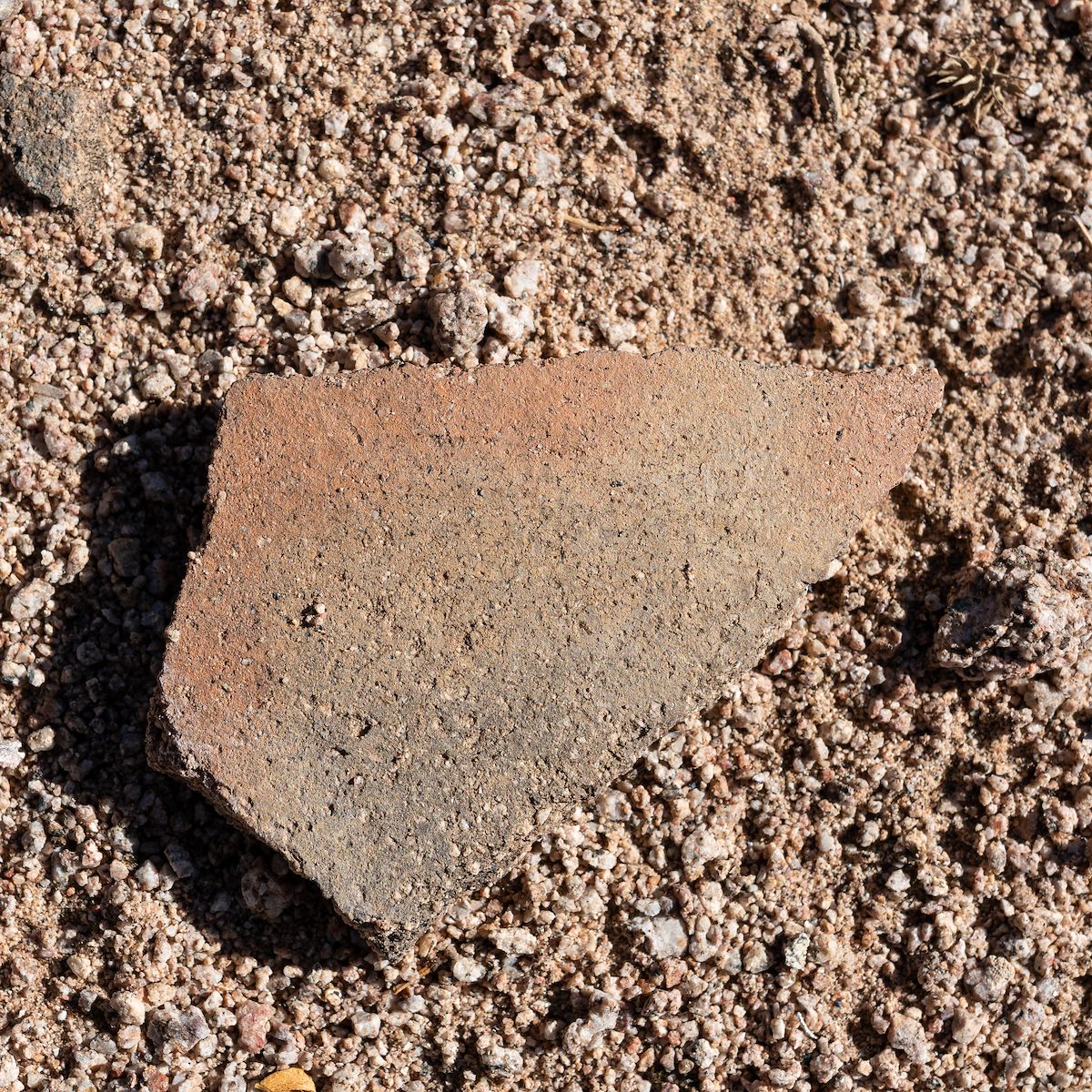 2021 January Desert Sherd