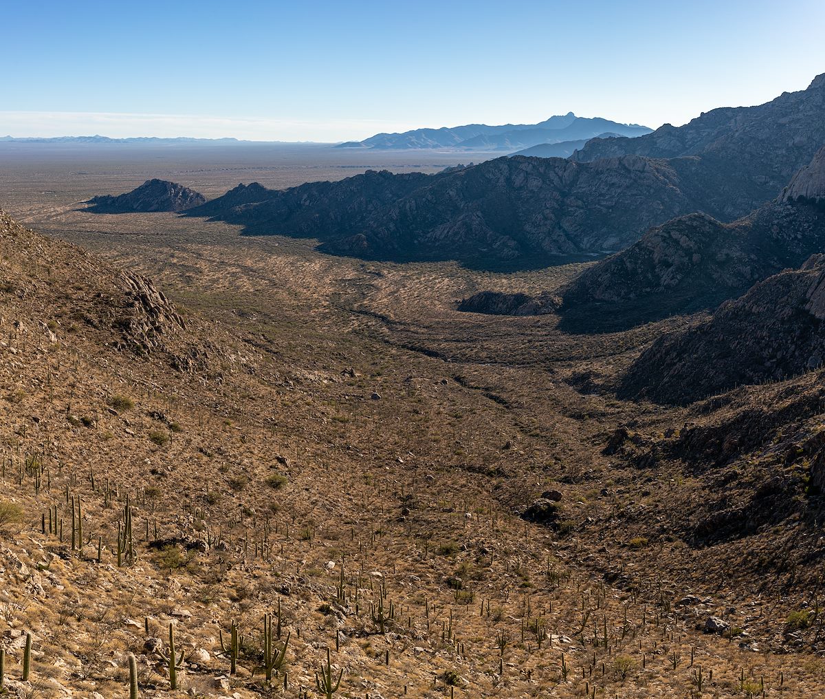 2021 January Looking into Mendoza Canyon from Point 4462