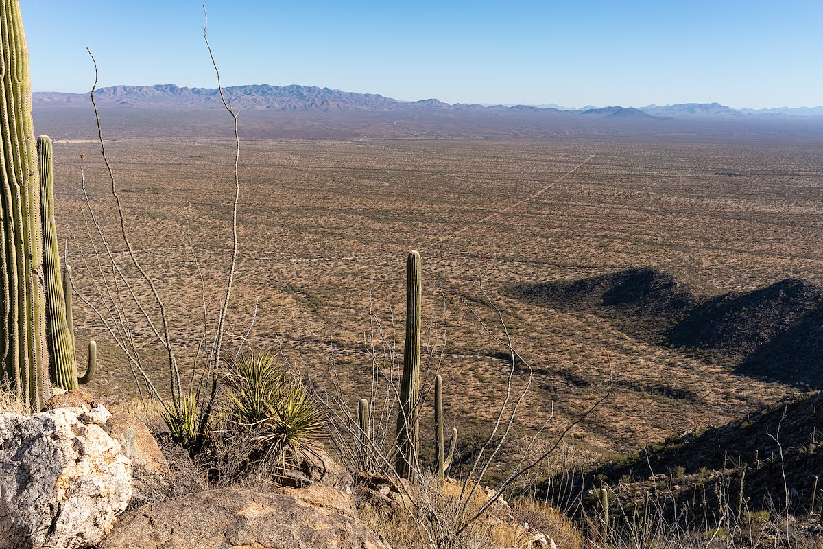 2021 January Looking over the canyon north of Mendoza and the Altar Valley to the Sierrita Mountains