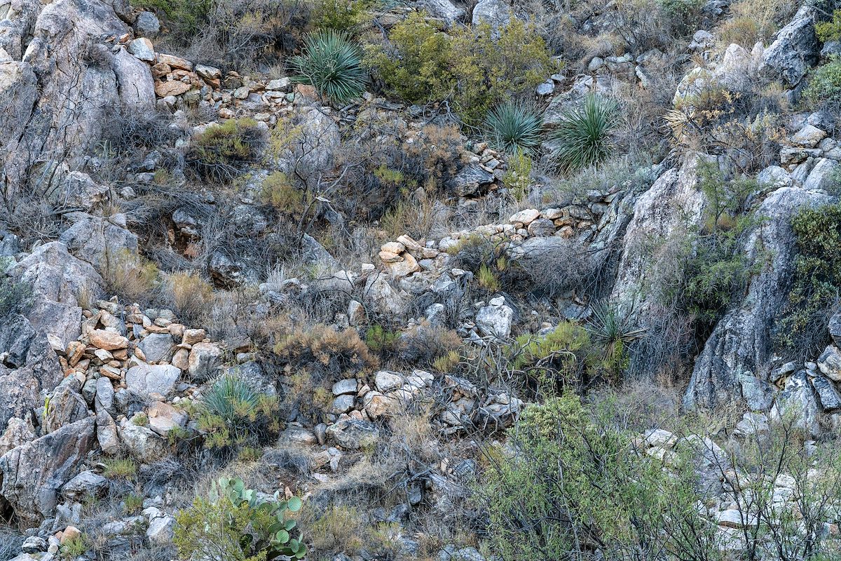 2021 January Old Trail Construction in the Coyote Mountains