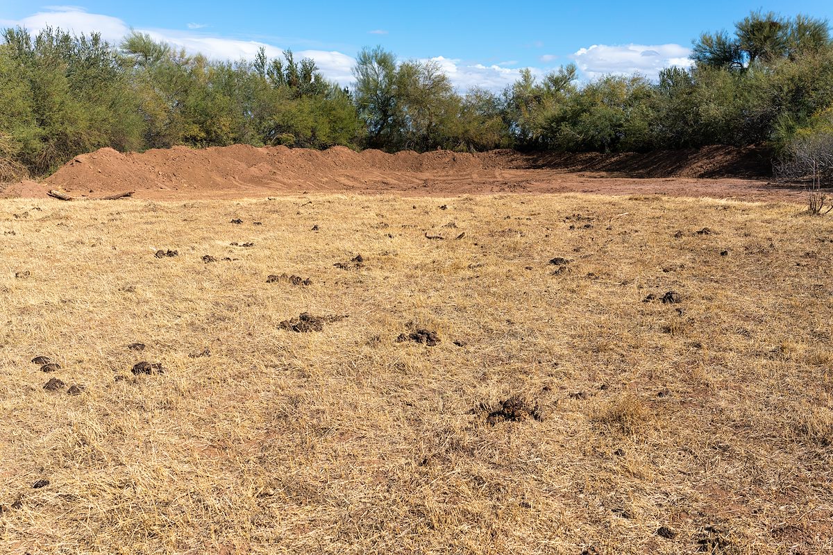 2021 January Tank, Grass and Manure