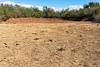 2021 January Tank, Grass and Manure