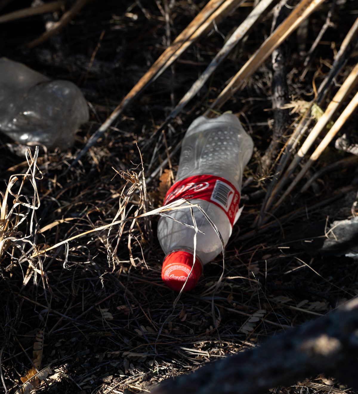 2021 January Trash in a saddle below Point 4462 in the Coyote Mountains