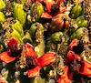 2021 June Saguaro Fruit 01