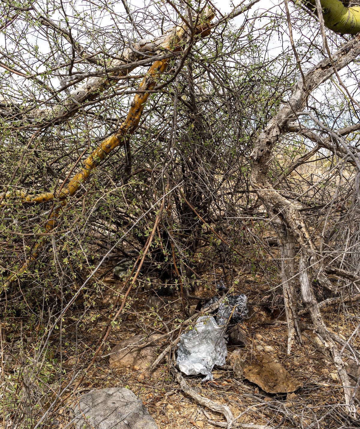 2021 March Balloon Trash in Ironwood Forest National Monument