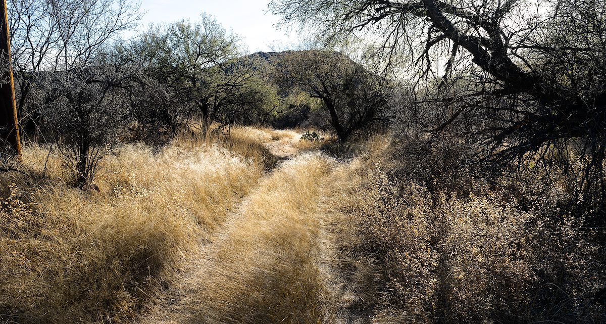 2022 December Old Road Along Posta Quemada Canyon