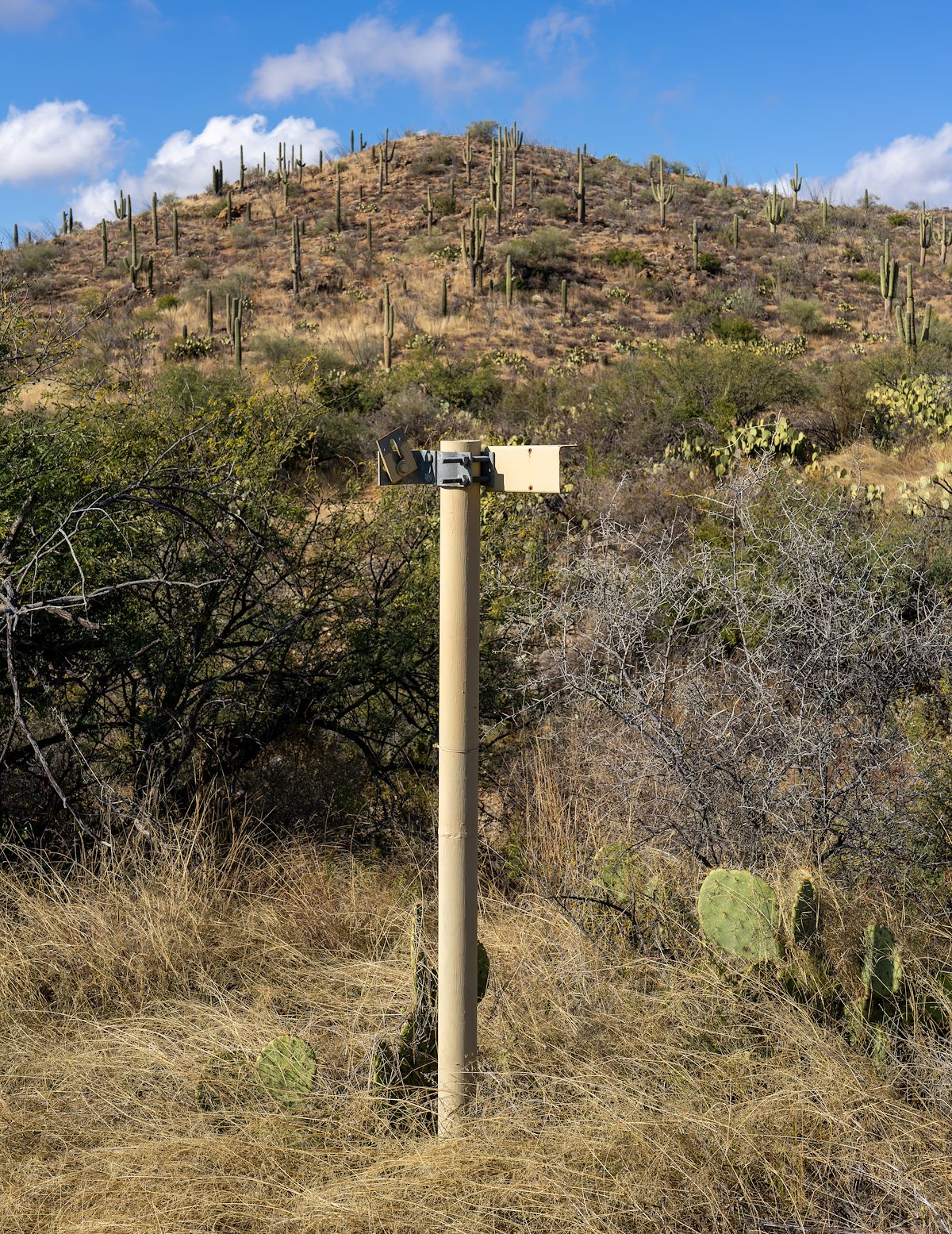 2022 December Pipe Upslope from the old Windmill