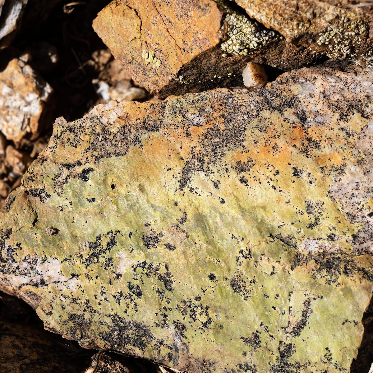 2022 February Rocks in the Rincon Mountain Wilderness