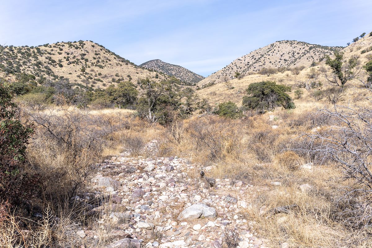 2022 January Cottonwood Peak in the Distance