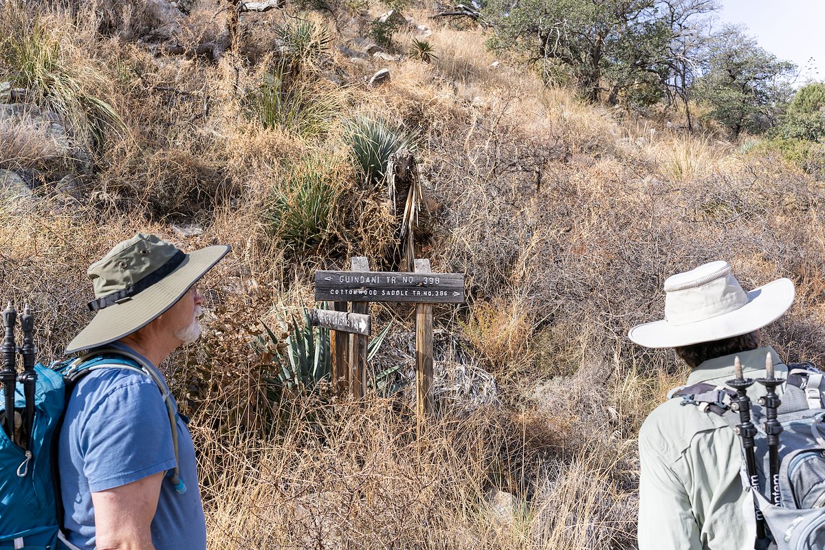 2022 January Junction of the Guindani and Cottonwood Saddle Trails