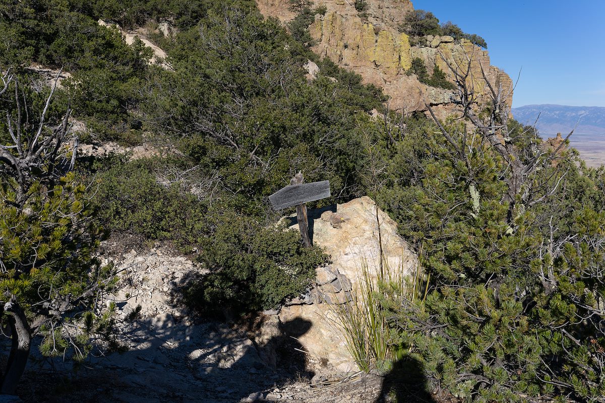 2022 November At the Junction of the East Divide and Bassett Peak Trails