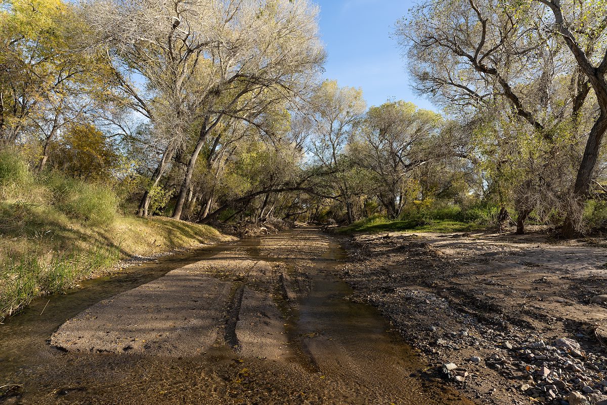 2022 November Cienega Creek