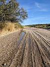 2022 November First Water in Pantano Wash headed East from Vail