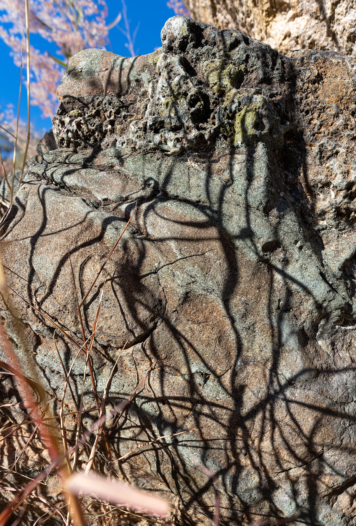 2022 November Grass Shadows and Canyon Rock