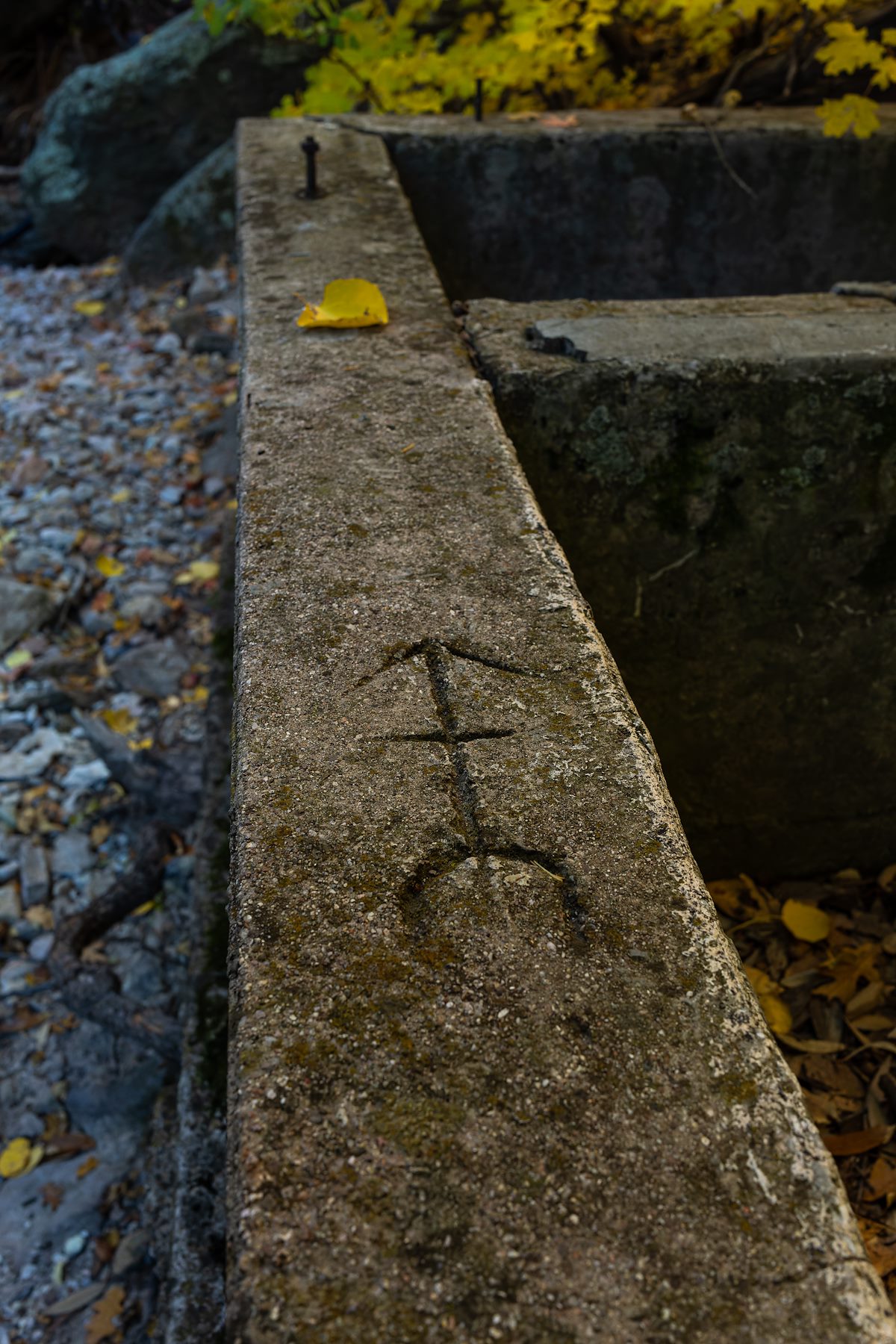 2022 November Lower Upper Ash Spring Tank Marking