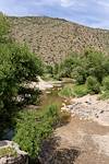 2023 April Green Trees and Water in the Agua Fria River near the end of the Badger Springs Trail