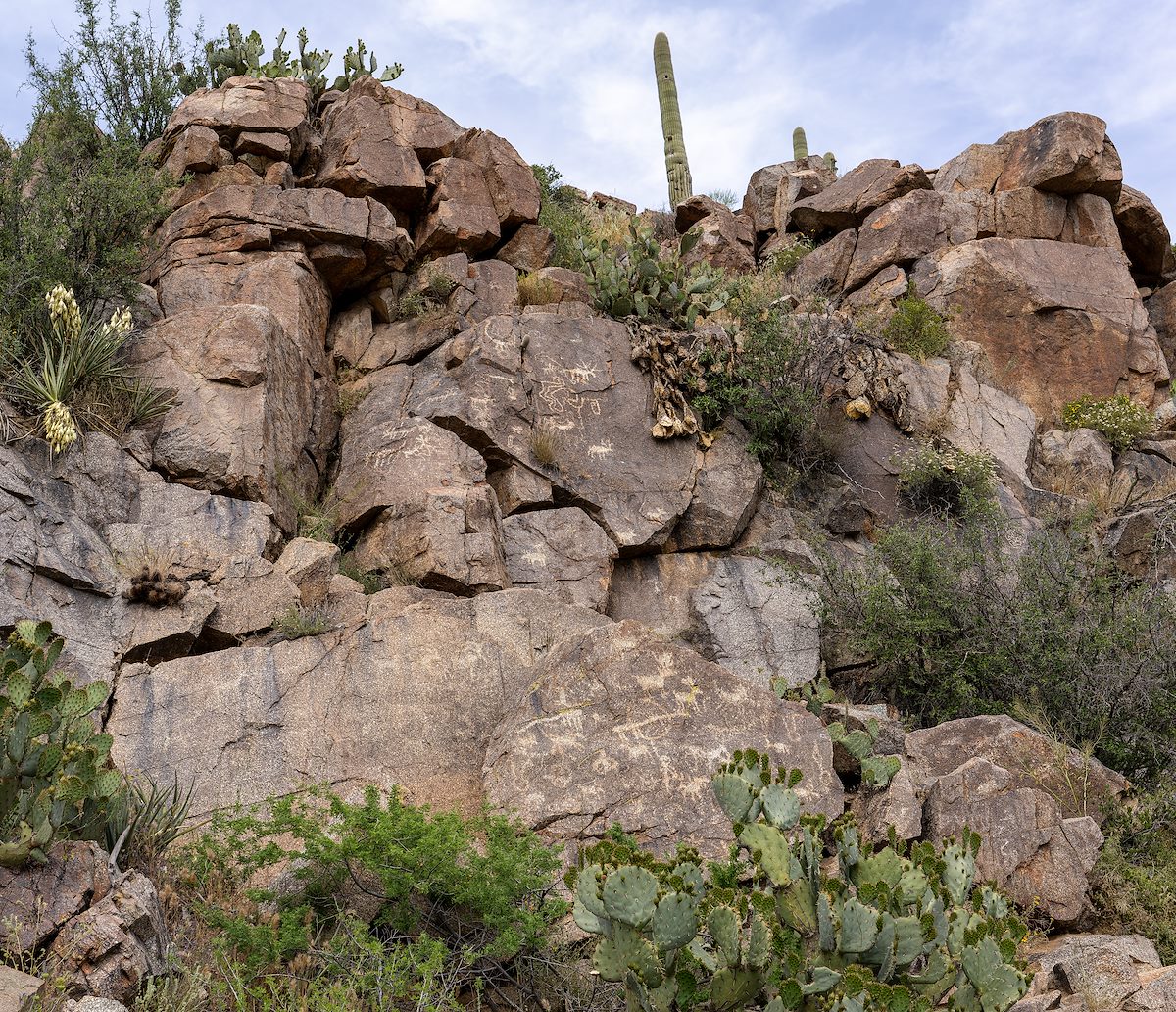 2023 April Petroglyph Panel at the end of the Badger Springs Trail at the Agua Fria River