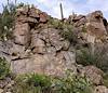 2023 April Petroglyph Panel at the end of the Badger Springs Trail at the Agua Fria River