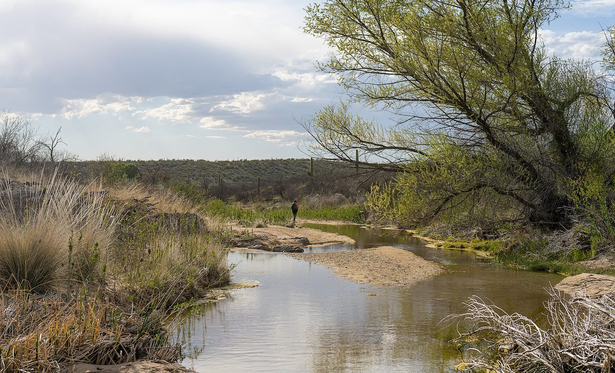 2023 April Rincon Creek