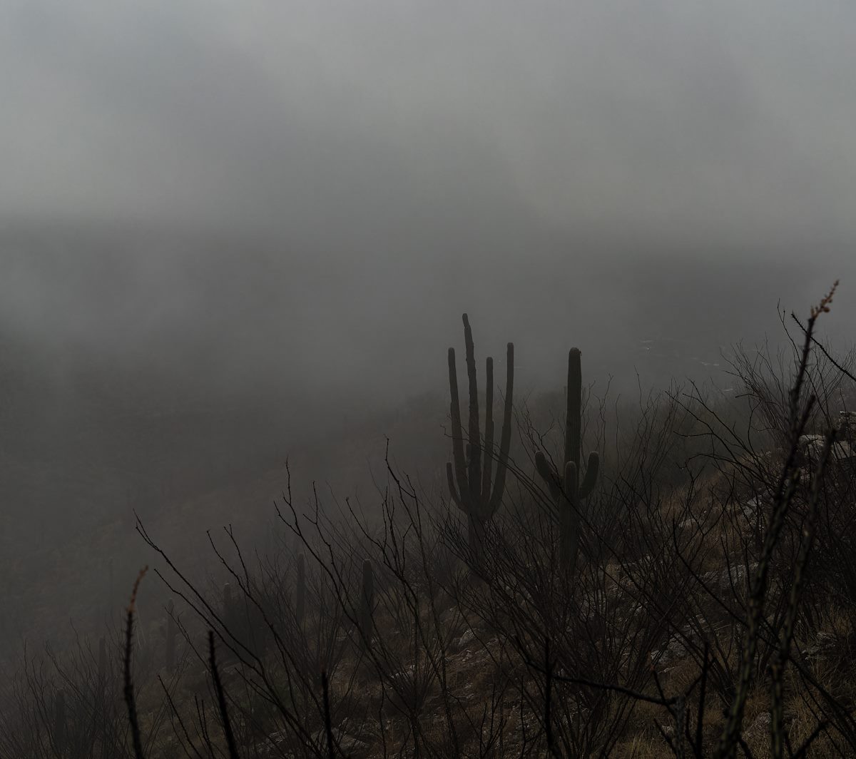 2023 December Rincon Foothills in the Clouds