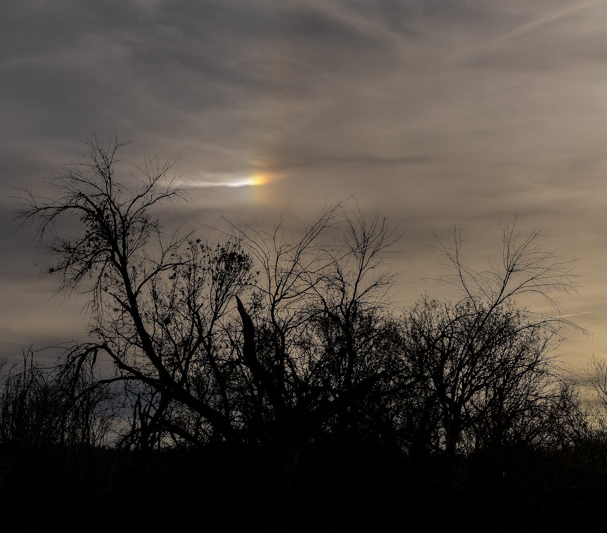 2023 December Sun Dog