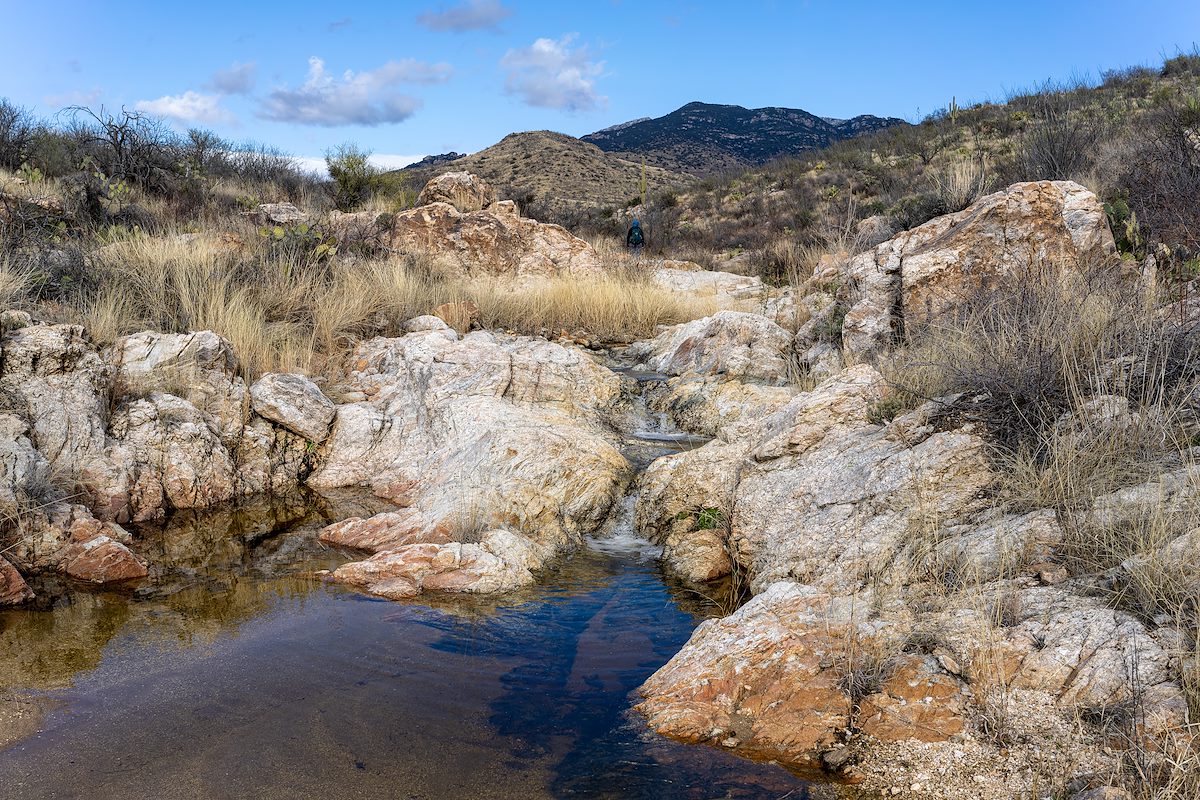 2023 February Foothills Stream