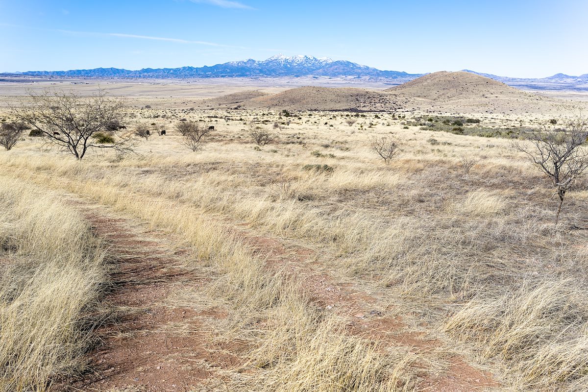 2023 February Snowy Santa Rita Mountains from the start of the hike up Mount Bruce