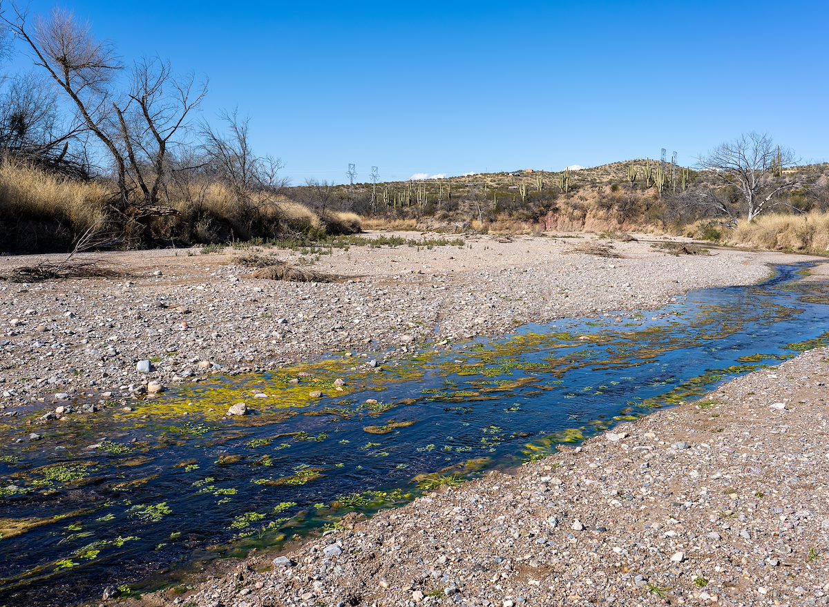 2023 January Cienega Creek