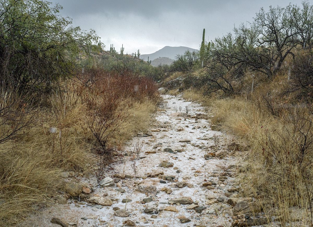 2023 January Hail Accumulating in a small Wash