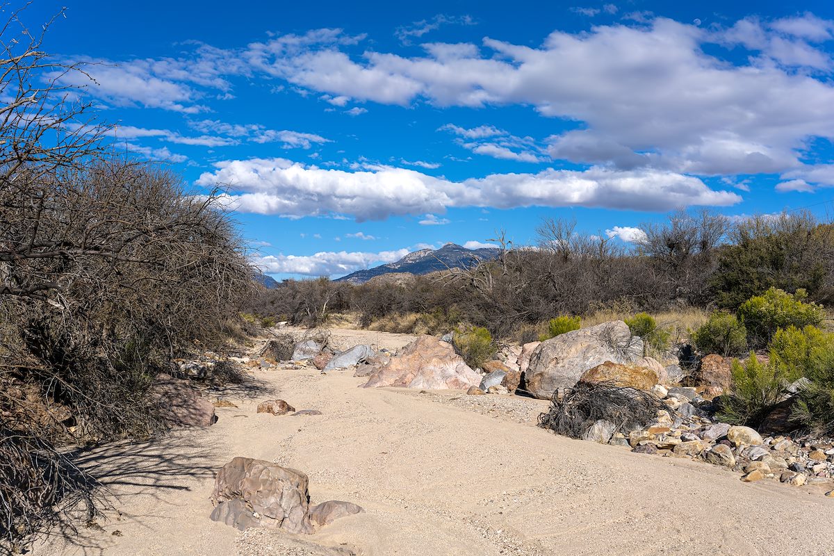 2023 January Rincon Peak in the Distance