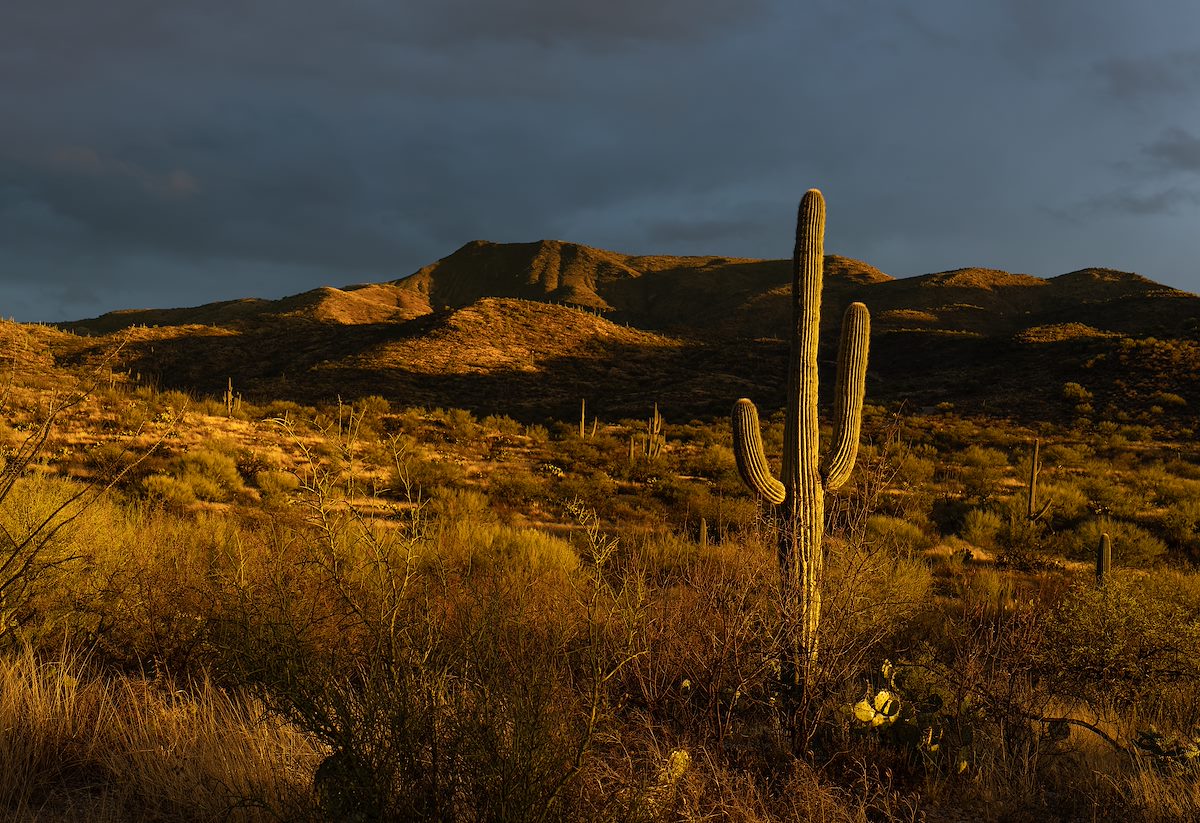 2023 January Saguaro and Cloud Break Light