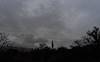 2023 January Saguaro and Grey Skies