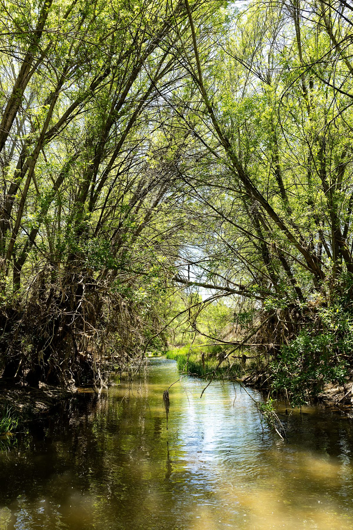 2023 May Verde River 01