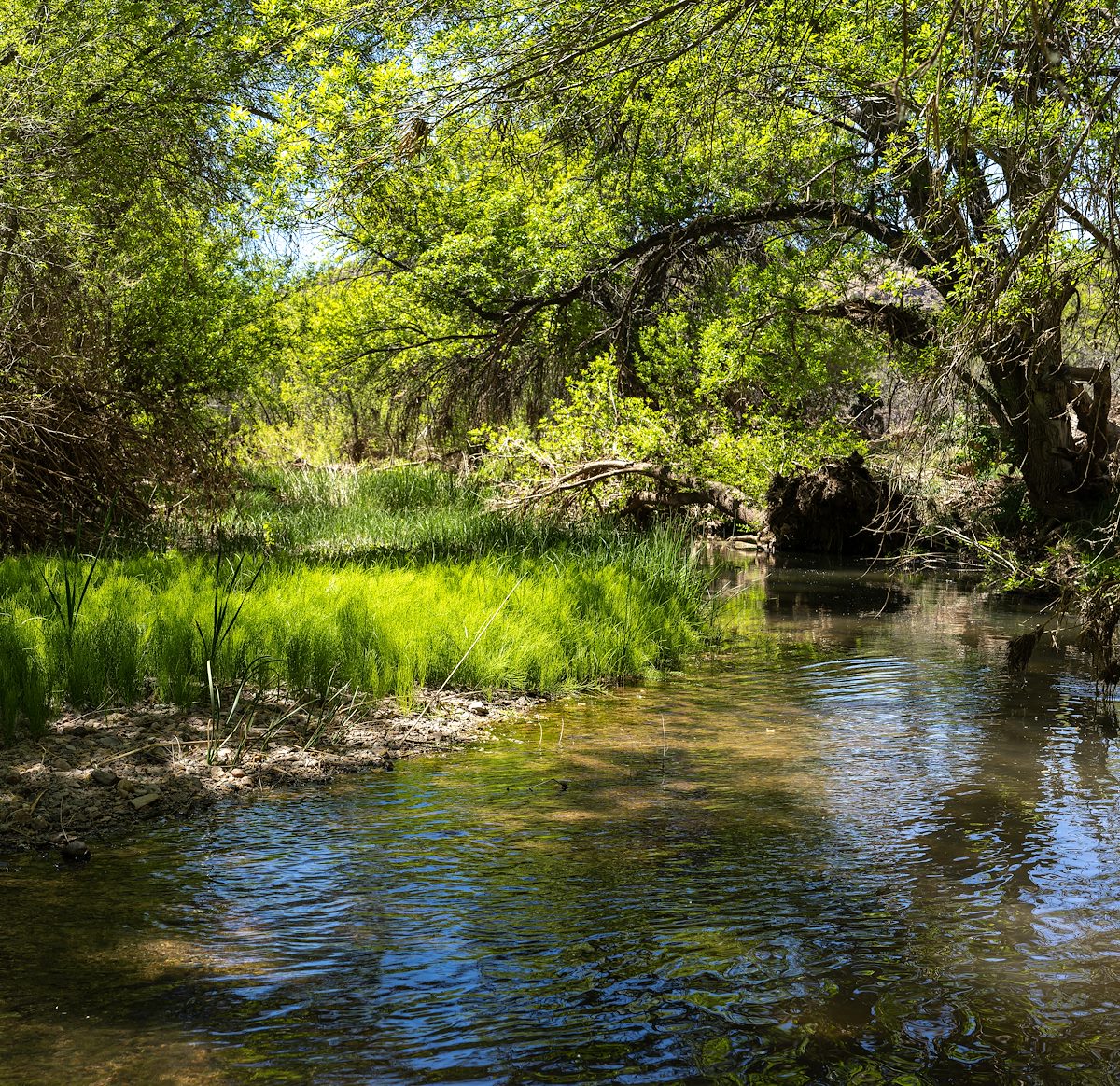 2023 May Verde River 02