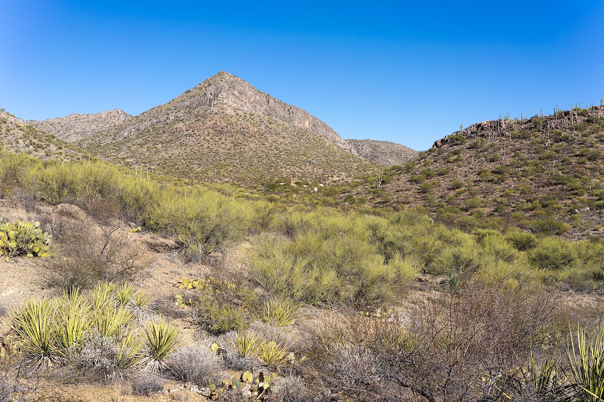 2023 November Mountain View in Colossal Cave Mountain Park