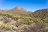 2023 November Mountain View in Colossal Cave Mountain Park