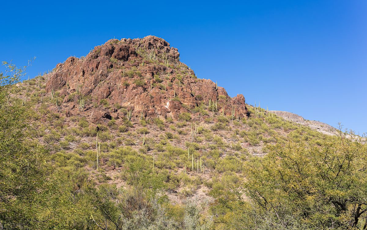 2023 November Red Cliffs in Colossal Cave Mountain Park