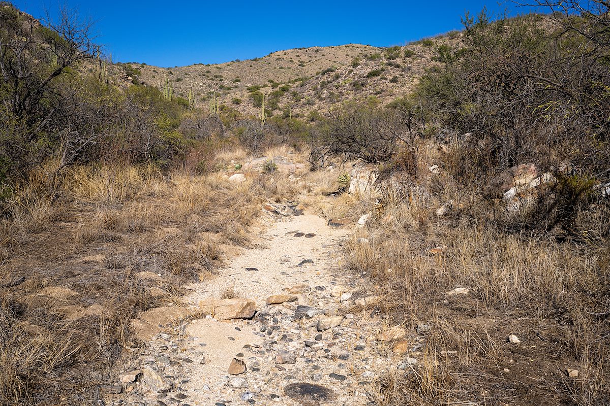 2023 November Shaw Canyon