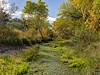 2023 November Water in Cienega Creek