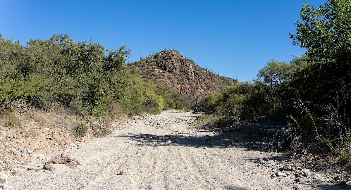 2023 October Agua Verde Creek in Colossal Cave Mountain Park