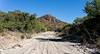 2023 October Agua Verde Creek in Colossal Cave Mountain Park