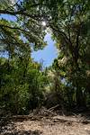 2023 October Posta Quemada Canyon