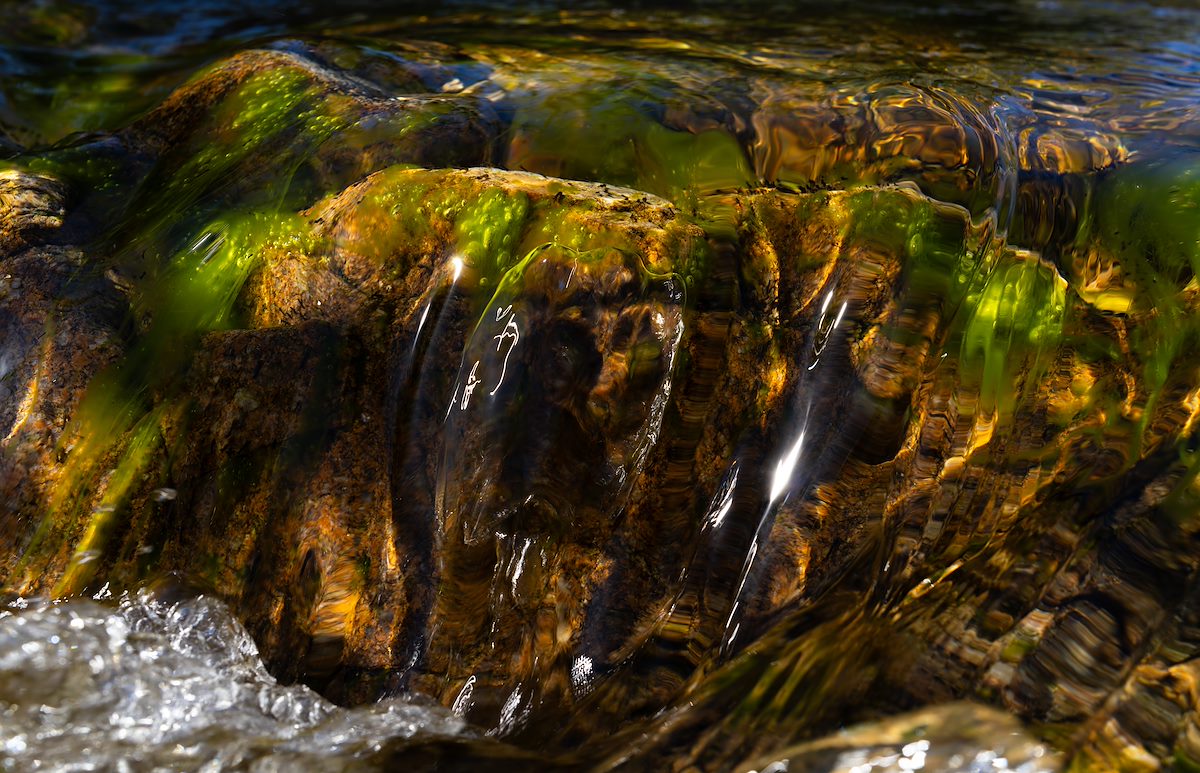 2024 April Light Etched on Water in Rincon Creek