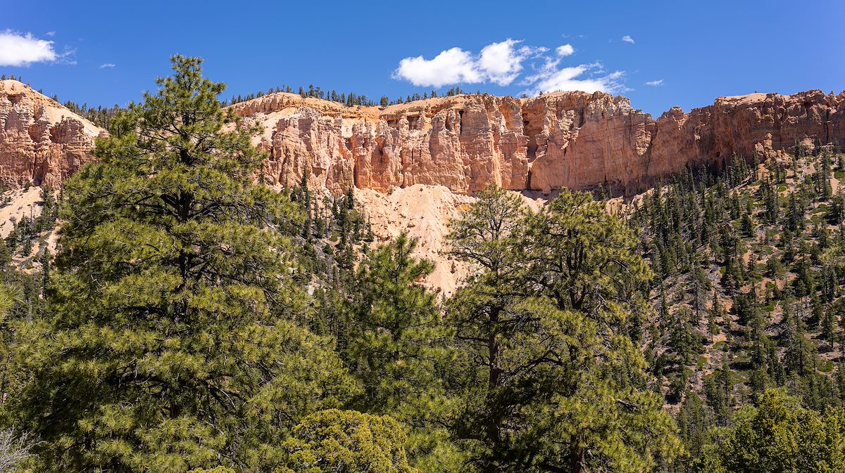 2024 April Rigg's Spring Loop in Bryce Canyon National Park