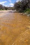 2024 April Water in Agua Verde Creek